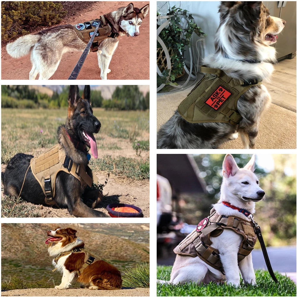 Dog Collar Military Harness And Leash Set Pet Training All Breeds