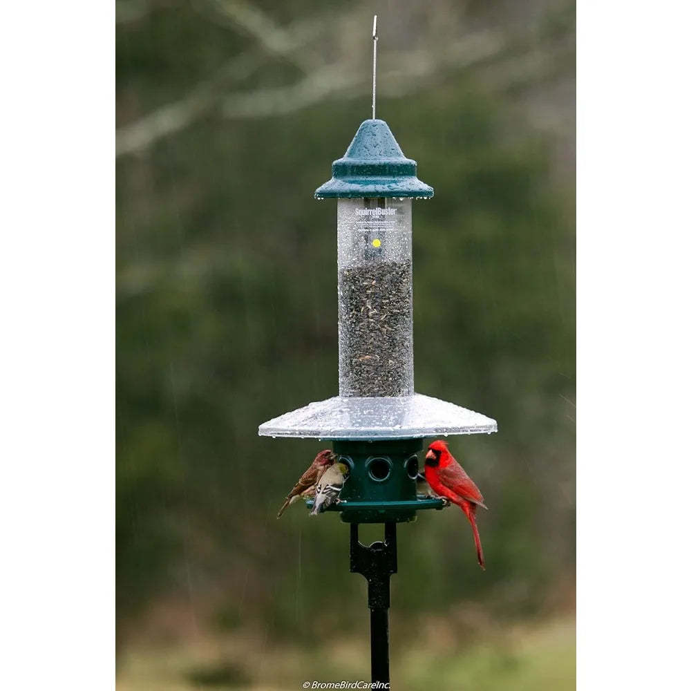 Squirrel-proof Bird Feeder w/Cardinal Ring and 6 Feeding Ports, Adjustable, Pole-mountable