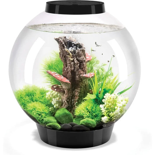 Classic Acrylic 8-Gallon Aquarium with White LED Lights Modern Tank for Tabletop Display,