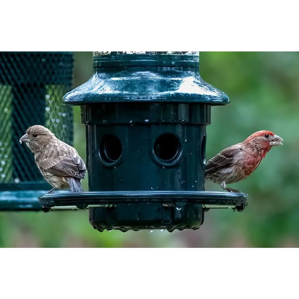 Squirrel-proof Bird Feeder w/Cardinal Ring and 6 Feeding Ports, Adjustable, Pole-mountable