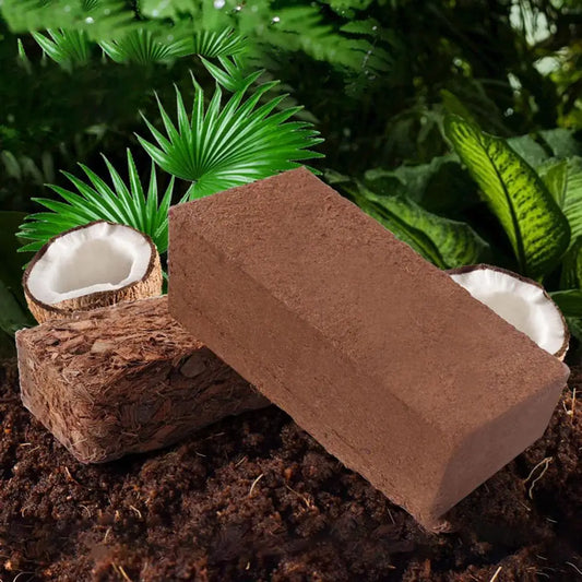 Natural Coconut Fiber Bedding and Substrate for Reptile Terrarium