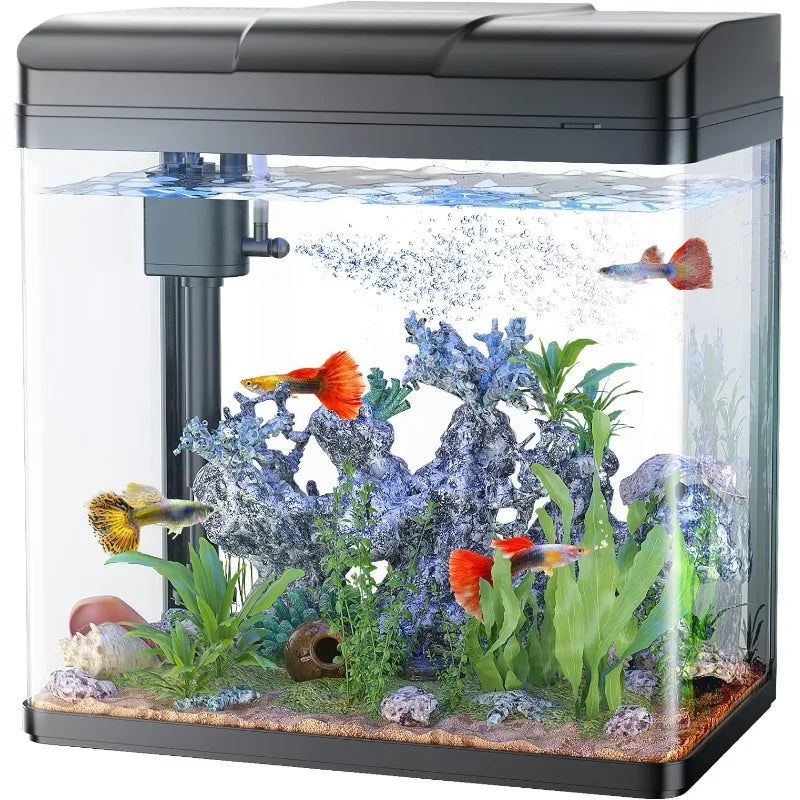 Glass Aquarium with Air Pump, LED Cool Lights, Betta Fish Starter Kit