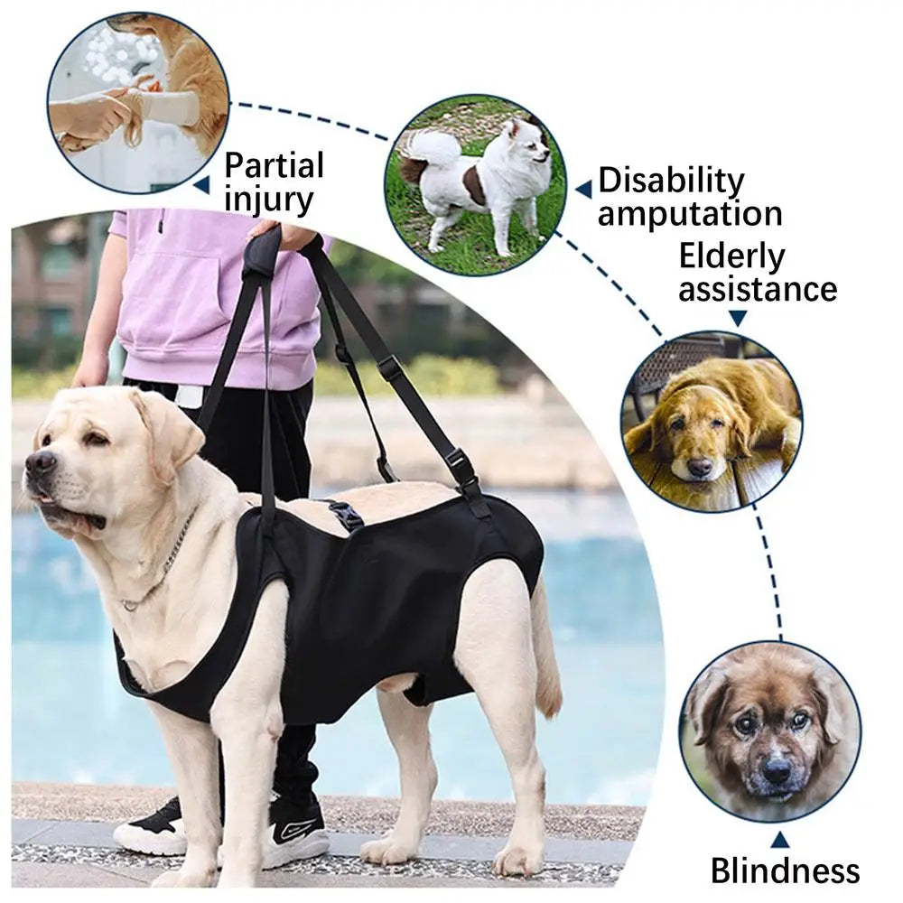 Large Vest Harness, Adjustable Strap For Disabled Dogs