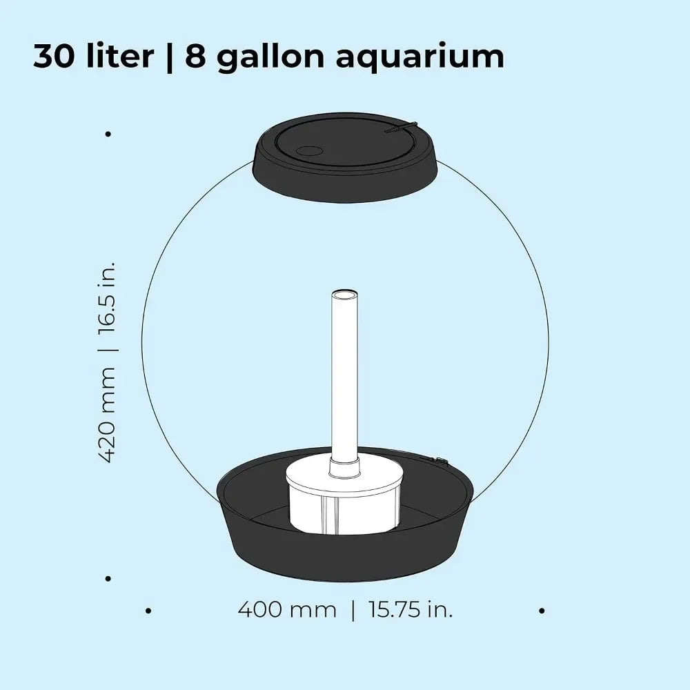 Classic Acrylic 8-Gallon Aquarium with White LED Lights Modern Tank for Tabletop Display,