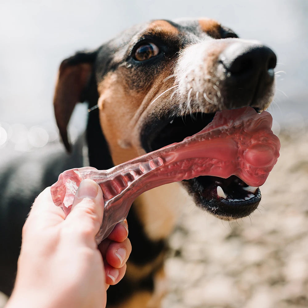 Dog Toys Aggressive Chewers Large Dogs Bone-Shaped Indestructible Nylon Teeth Cleaning