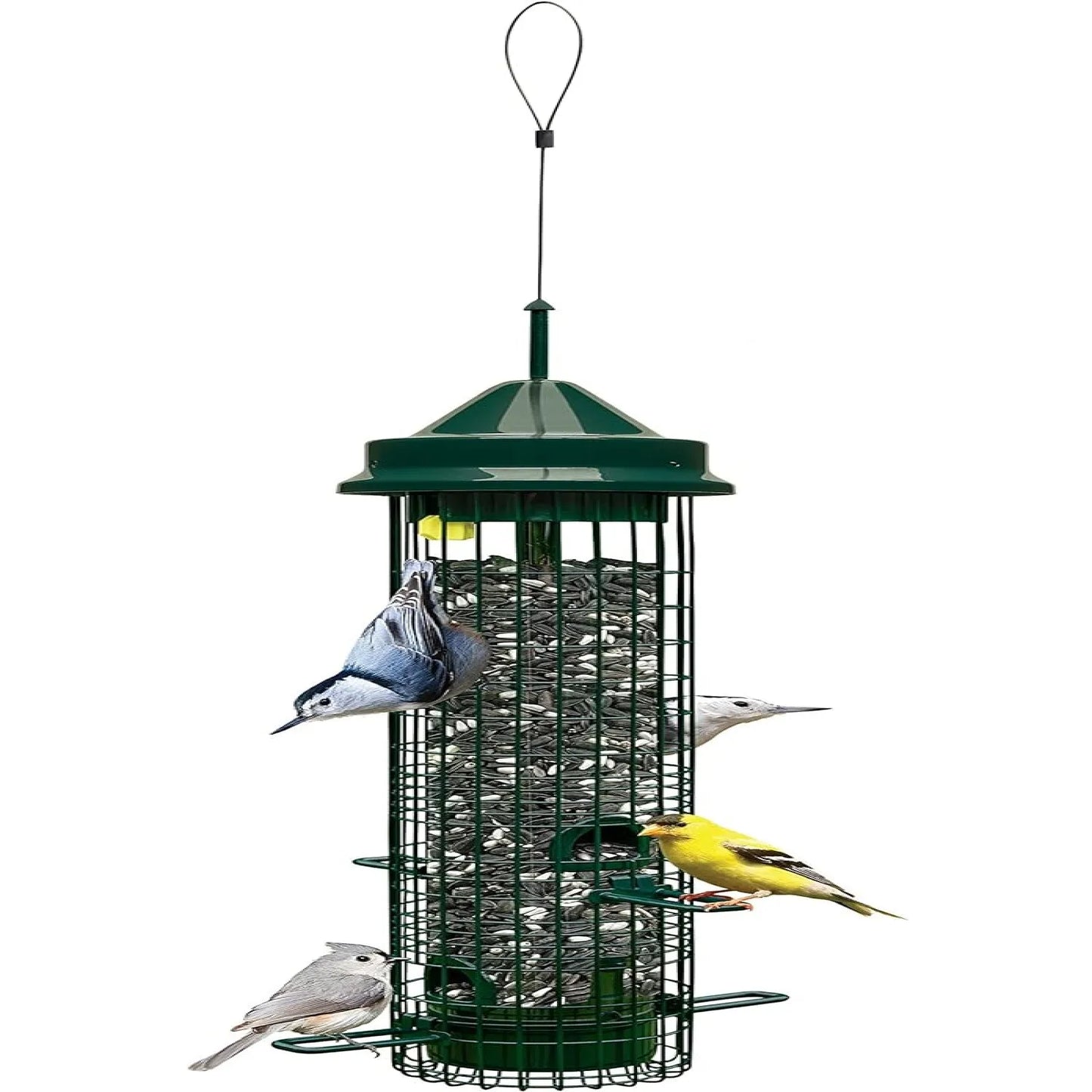 Classic Squirrel-proof Bird Feeder w/4 Feeding Ports, 2.4-pound Seed Capacity