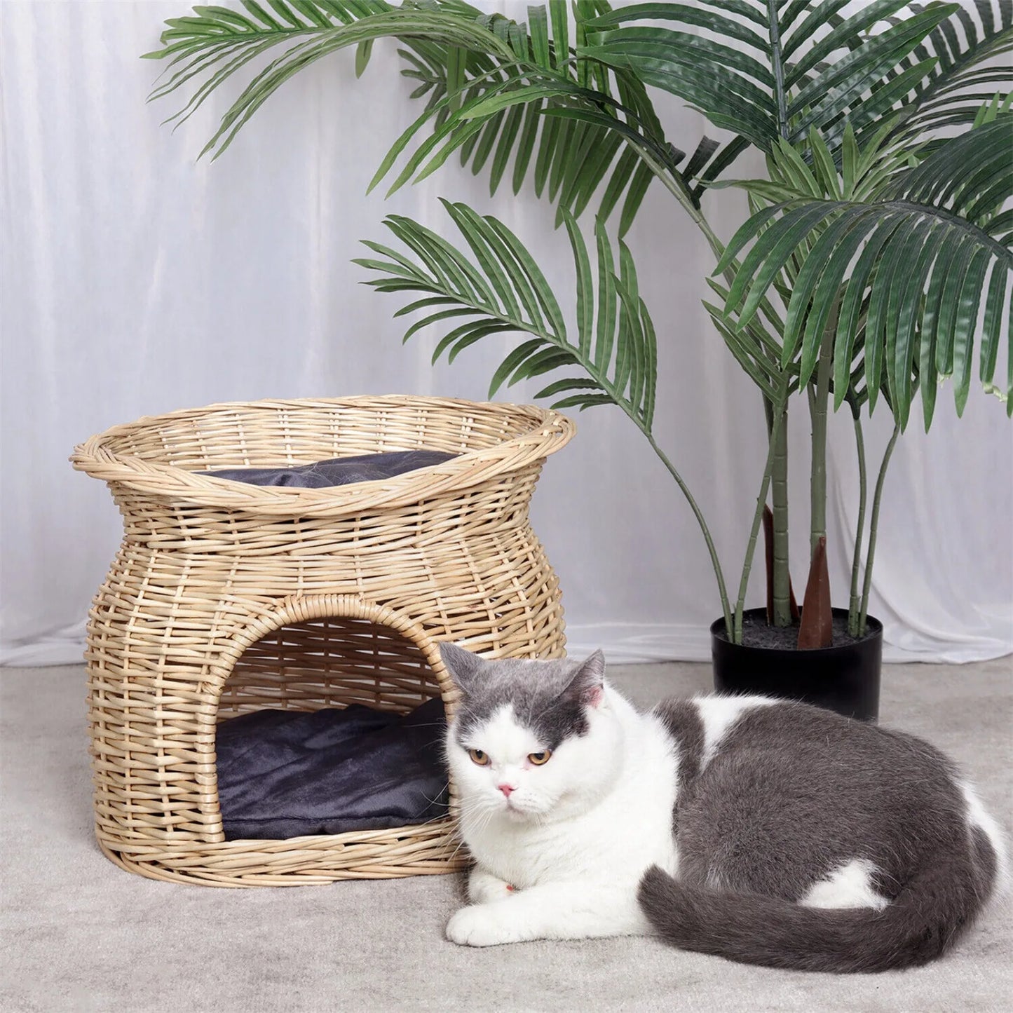 Indoor Hand Woven Pet Basket Cave with Cat Bed,