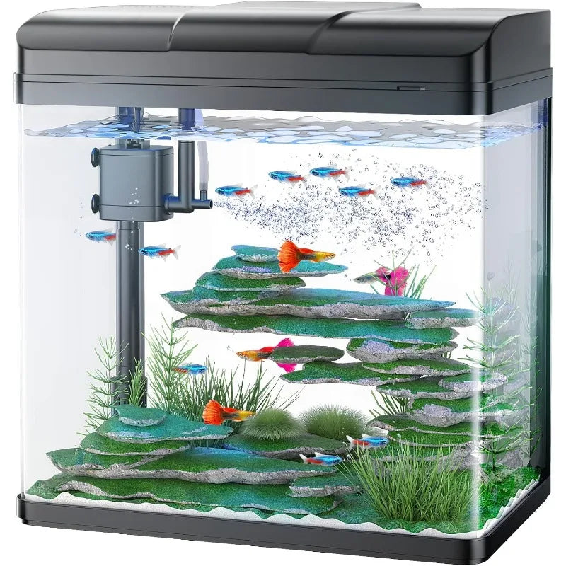 Glass Aquarium with Air Pump, LED Cool Lights, Betta Fish Starter Kit