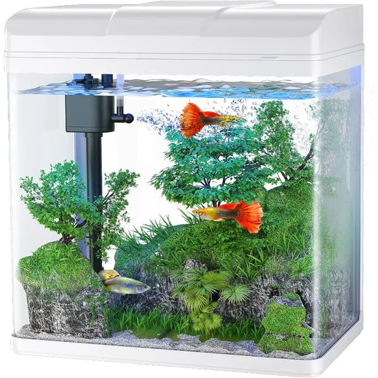 Glass Aquarium with Air Pump, LED Cool Lights, Betta Fish Starter Kit