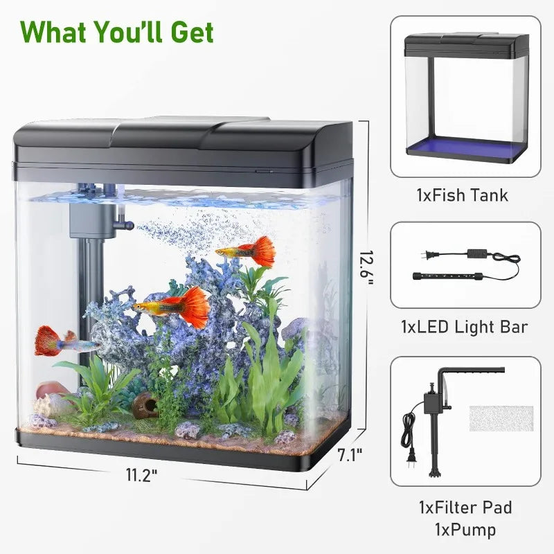 Glass Aquarium with Air Pump, LED Cool Lights, Betta Fish Starter Kit