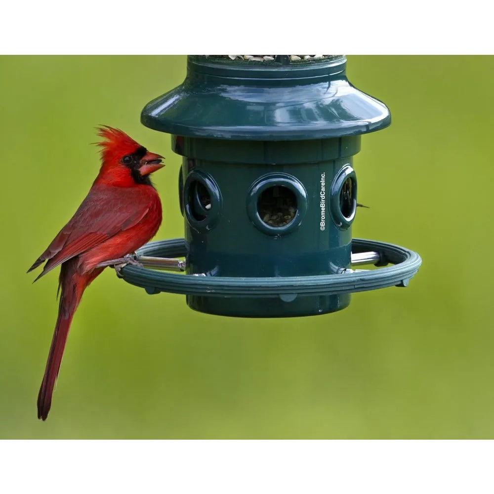 Squirrel-proof Bird Feeder w/Cardinal Ring and 6 Feeding Ports, Adjustable, Pole-mountable