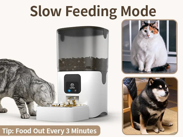 Smart Automatic  WiFi Pet Feeder with APP Control for Remote Feeding